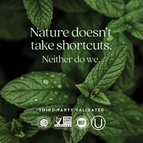 New Chapter, комплекс ферментированного железа, 60 вегетарианских таблеток в Москве - eco-herb.ru | изображение New Chapter, комплекс ферментированного железа, 60 вегетарианских таблеток в Москве - eco-herb.ru | фото