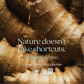 New Chapter, мультивитамины для беременных, со вкусом ягод и цитрусов, 90 жевательных таблеток в Москве - eco-herb.ru | фото