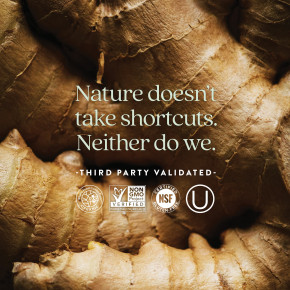 New Chapter, Мультивитамины для мужчин One Daily, 72 вегетарианские таблетки в Москве - eco-herb.ru | фото