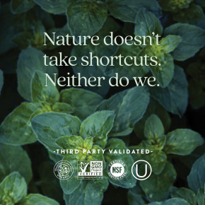 New Chapter, One Daily Every Man's Multivitamin 40+, 96 вегетарианских таблеток в Москве - eco-herb.ru | фото