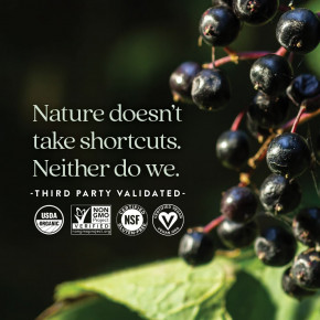 New Chapter, Органические жевательные мармеладки из цельных ягод, 60 веганских жевательных таблеток в Москве - eco-herb.ru | фото