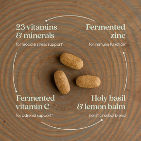 New Chapter, Perfect Calm™, мультивитамины, 144 вегетарианские таблетки в Москве - eco-herb.ru | фото