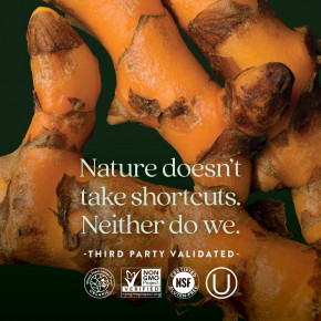 New Chapter, Perfect Energy, мультивитамины, 96 вегетарианских таблеток в Москве - eco-herb.ru | фото