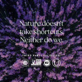 New Chapter, Perfect Postnatal, мультивитамины, 96 вегетарианских таблеток в Москве - eco-herb.ru | изображение New Chapter, Perfect Postnatal, мультивитамины, 96 вегетарианских таблеток в Москве - eco-herb.ru | фото