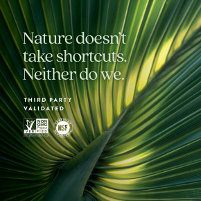 New Chapter, Prostate 5LX, 120 вегетарианских капсул в Москве - eco-herb.ru | фото