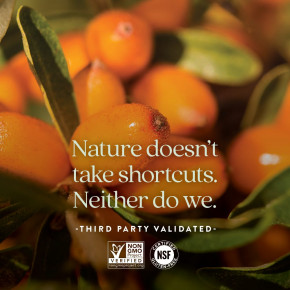 New Chapter, смесь омега-7 и облепихи, 60 вегетарианских капсул в Москве - eco-herb.ru | изображение New Chapter, смесь омега-7 и облепихи, 60 вегетарианских капсул в Москве - eco-herb.ru | фото