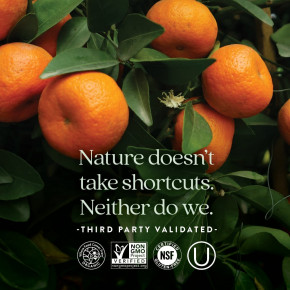 New Chapter, Tiny Tables™, мультивитамины, 192 вегетарианские таблетки в Москве - eco-herb.ru | фото