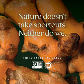 New Chapter, Turmeric Force, 120 вегетарианских капсул в Москве - eco-herb.ru | фото