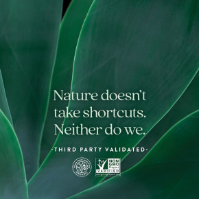 New Chapter, Витамин C + для иммунной защиты, цитрус, 60 жевательных таблеток в Москве - eco-herb.ru | фото