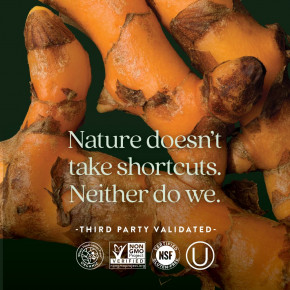 New Chapter, улучшенный мультивитаминный комплекс для мужчин, 120 вегетарианские таблетки в Москве - eco-herb.ru | фото