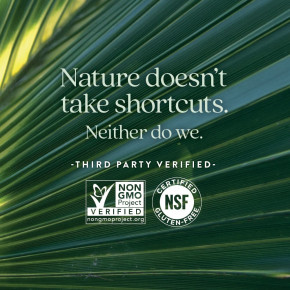 New Chapter, Zyflamend для простаты, 60 вегетарианских капсул в Москве - eco-herb.ru | изображение New Chapter, Zyflamend для простаты, 60 вегетарианских капсул в Москве - eco-herb.ru | фото