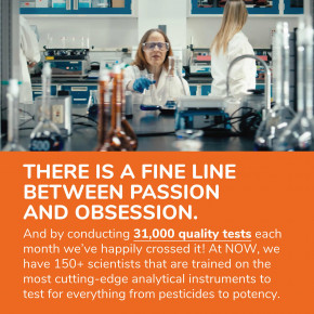 NOW Foods, 5-HTP, 100 мг, 120 растительных капсул в Москве - eco-herb.ru | фото