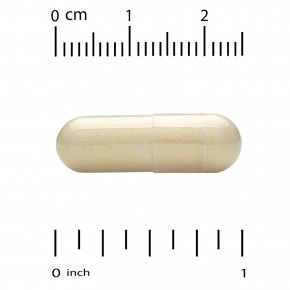 NOW Foods, глутатион с экстрактом расторопши и альфа-липоевой кислотой, 60 растительных капсул в Москве - eco-herb.ru | изображение NOW Foods, глутатион с экстрактом расторопши и альфа-липоевой кислотой, 60 растительных капсул в Москве - eco-herb.ru | фото