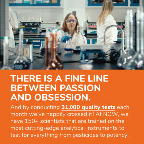 NOW Foods, мелатонин, 10 мг, 100 растительных капсул в Москве - eco-herb.ru | изображение NOW Foods, мелатонин, 10 мг, 100 растительных капсул в Москве - eco-herb.ru | фото