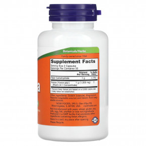 NOW Foods, юкка, 100 капсул (500 мг в 1 капсуле) в Москве - eco-herb.ru | фото