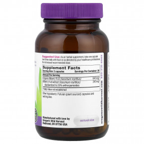 Oregon's Wild Harvest, черника, 60 веганских капсул в Москве - eco-herb.ru | изображение Oregon's Wild Harvest, черника, 60 веганских капсул в Москве - eco-herb.ru | фото