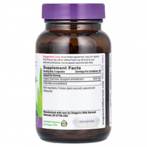 Oregon's Wild Harvest, Гвоздика, 90 веганских капсул (500 мг на капсулу) в Москве - eco-herb.ru | изображение Oregon's Wild Harvest, Гвоздика, 90 веганских капсул (500 мг на капсулу) в Москве - eco-herb.ru | фото