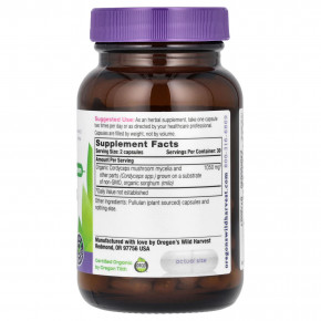 Oregon's Wild Harvest, Кордицепс, 60 веганских капсул (525 мг на капсулу) в Москве - eco-herb.ru | фото