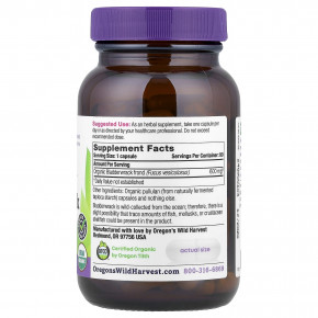 Oregon's Wild Harvest, органическая ламинария, 600 мг, 90 органических веганских капсул в Москве - eco-herb.ru | изображение Oregon's Wild Harvest, органическая ламинария, 600 мг, 90 органических веганских капсул в Москве - eco-herb.ru | фото