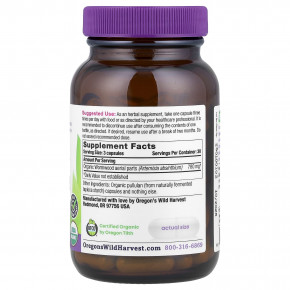 Oregon's Wild Harvest, органическая полынь горькая, 90 органических веганских капсул (260 мг в 1 капсуле) в Москве - eco-herb.ru | изображение Oregon's Wild Harvest, органическая полынь горькая, 90 органических веганских капсул (260 мг в 1 капсуле) в Москве - eco-herb.ru | фото