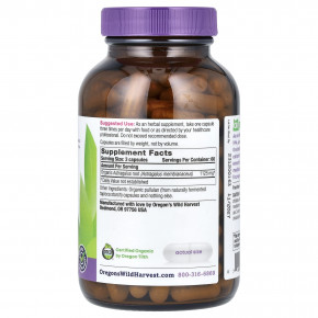 Oregon's Wild Harvest, Органический астрагал, 180 органических веганских капсул (375 мг на капсулу) в Москве - eco-herb.ru | изображение Oregon's Wild Harvest, Органический астрагал, 180 органических веганских капсул (375 мг на капсулу) в Москве - eco-herb.ru | фото