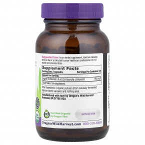 Oregon's Wild Harvest, органический лимонник, 90 органических веганских капсул (475 мг в 1 капсуле) в Москве - eco-herb.ru | фото