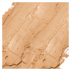 Palladio, Build + Blend Foundation-стик, золотой мед, BBFS06, 7 г (0,25 унции) в Москве - eco-herb.ru | фото