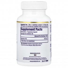 Paradise Herbs, берберин, 500 мг, 60 вегетарианских капсул в Москве - eco-herb.ru | фото