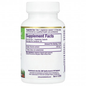 Paradise Herbs, Имбирь, 60 вегетарианских капсул (250 мг на капсулу) в Москве - eco-herb.ru | фото