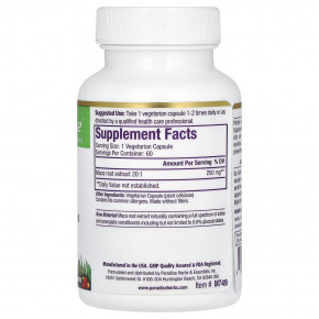 Paradise Herbs, Мака, 60 вегетарианских капсул (250 мг на капсулу) в Москве - eco-herb.ru | фото