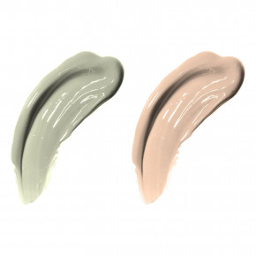 Physicians Formula, Concealer Twins Cream, консилер, оттенок 3055 зеленый/светлый, 6,8 г (0,24 унции) в Москве - eco-herb.ru | фото