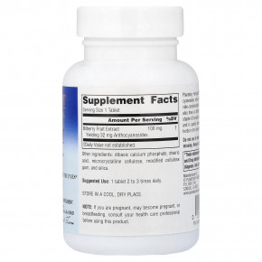 Planetary Herbals, Bilberry Vision™, 100 мг, 120 таблеток в Москве - eco-herb.ru | фото