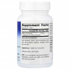 Planetary Herbals, Bilberry Vision™, 100 мг, 60 таблеток в Москве - eco-herb.ru | фото