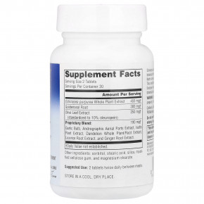 Planetary Herbals, эхинацея и желтокорень с оливковыми листьями, 60 таблеток (317 мг в 1 таблетке) в Москве - eco-herb.ru | фото