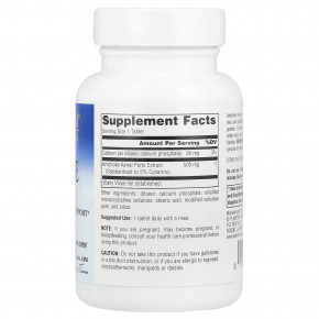 Planetary Herbals, экстракт артишока, 60 таблеток в Москве - eco-herb.ru | фото