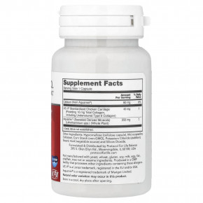 Protocol for Life Balance, Joint-UC™, 60 капсул в Москве - eco-herb.ru | фото