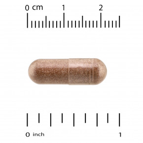 Quality of Life, Kinoko® Platinum AHCC®, 60 растительных капсул в Москве - eco-herb.ru | изображение Quality of Life, Kinoko® Platinum AHCC®, 60 растительных капсул в Москве - eco-herb.ru | фото