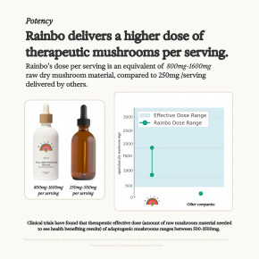 Rainbo, 11:11 настойка из нескольких грибов, без спирта, 100 мл (3,4 жидк. Унции) в Москве - eco-herb.ru | фото