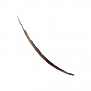 Revlon, Colorstay™, semi-permanent Brow Ink™, оттенок 355 темно-коричневый, 2,8 мл (0,09 жидк. унции) в Москве - eco-herb.ru | фото