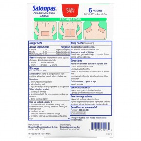 Salonpas, Болеутоляющие, большие, 6 шт. в Москве - eco-herb.ru | фото