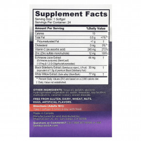 Sambucol, Черная бузина, интенсивная защита, средство 5 в 1, 24 капсулы (Товар снят с продажи) в Москве - eco-herb.ru | изображение Sambucol, Черная бузина, интенсивная защита, средство 5 в 1, 24 капсулы (Товар снят с продажи) в Москве - eco-herb.ru | фото