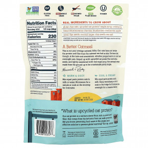 Seven Sundays, Протеиновый овес с льном и чиа, лесные ягоды, 454 г (16 унций) в Москве - eco-herb.ru | фото