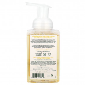 SoF, Увлажняющая пенка для мытья рук с нектаром агавы, лимонной вербеной, 236 мл (8 жидк. унц.) в Москве - eco-herb.ru | фото