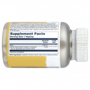 Solaray, Мелатонин с длительным высвобождением с глицином, 100 растительных капсул в Москве - eco-herb.ru | фото