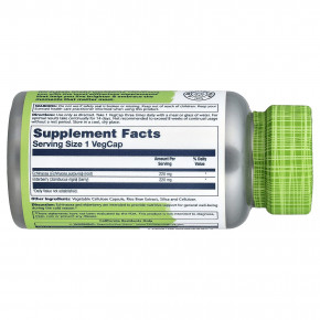 Solaray, True Herbs, бузина с эхинацеей, 100 растительных капсул в Москве - eco-herb.ru | изображение Solaray, True Herbs, бузина с эхинацеей, 100 растительных капсул в Москве - eco-herb.ru | фото