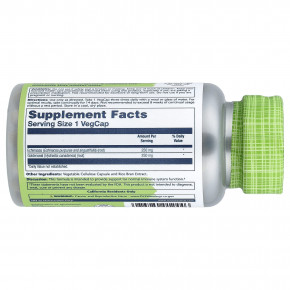 Solaray, True Herbs, эхинацея и желтокорень, 100 растительных капсул в Москве - eco-herb.ru | фото