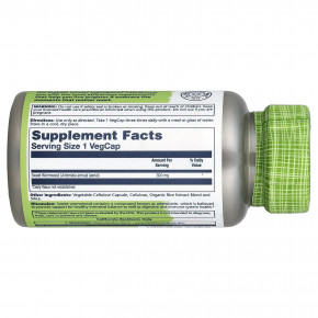 Solaray, True Herbs, полынь однолетняя, 300 мг, 100 растительных капсул в Москве - eco-herb.ru | фото