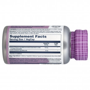 Solaray, Vital Extracts, эхинацея узколистная, 60 растительных капсул в Москве - eco-herb.ru | фото