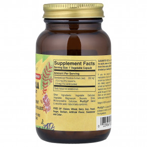 Solgar, Экстракт корня родиолы, 60 растительных капсул (350 мг на капсулу) в Москве - eco-herb.ru | изображение Solgar, Экстракт корня родиолы, 60 растительных капсул (350 мг на капсулу) в Москве - eco-herb.ru | фото