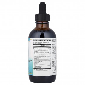 Source Naturals, Wellness Herbal Strength™, жидкий продукт, без спирта, 118,28 мл (4 жидк. унции) в Москве - eco-herb.ru | фото